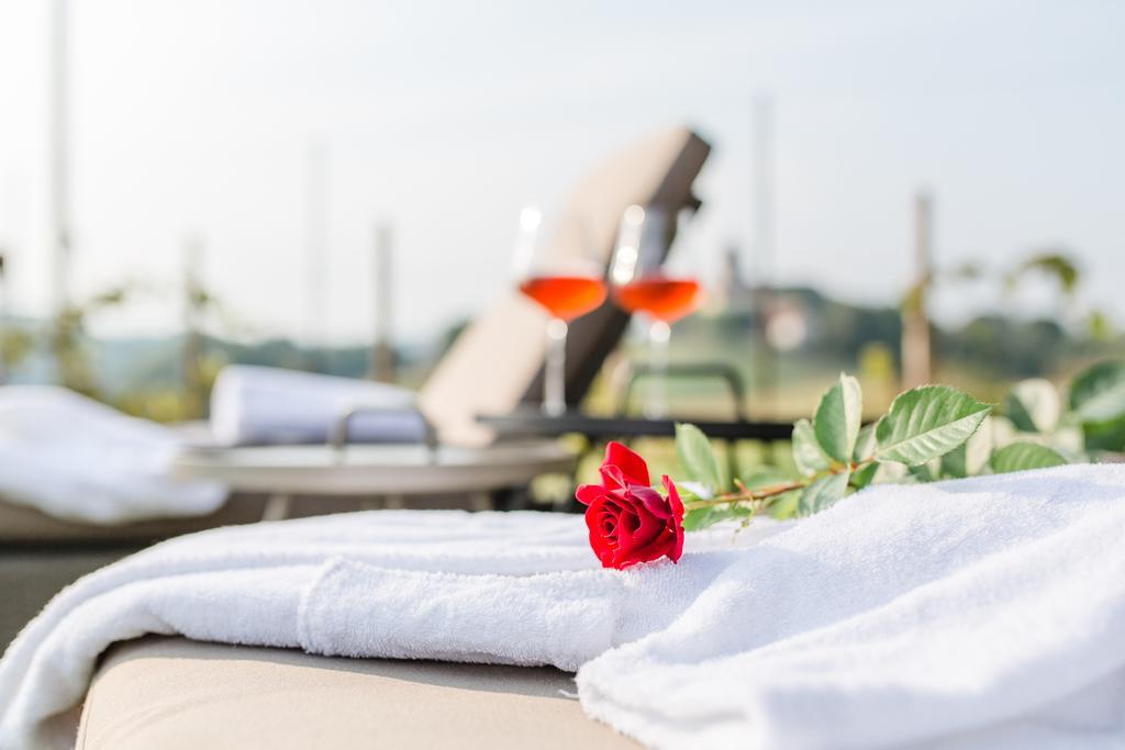 Wohnen Im Wein Apartment Ehrenhausen Bagian luar foto