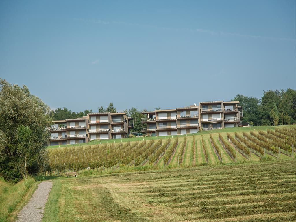 Wohnen Im Wein Apartment Ehrenhausen Bagian luar foto